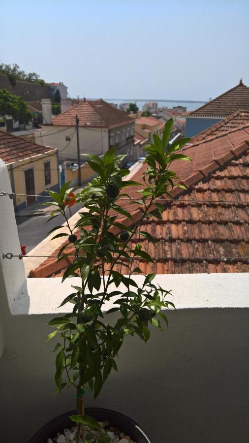 Casa Do Viso Villa Setúbal Dış mekan fotoğraf